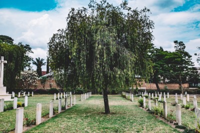 Photo by Ashim D’Silva on Unsplash