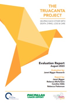 Truacanta Evaluation Report Cover: picture of an orange origami bird with text